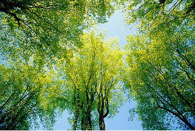 Steam开启育碧发行商特卖 大量经典游戏一五折起促销